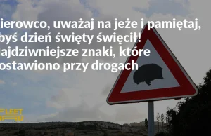 Msza, dzieci i kiwi. Najdziwniejsze znaki, które postawiono przy drogach