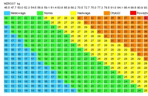 Kalkulator BMI - sprawdź czy Twoja masa mieści się w normie