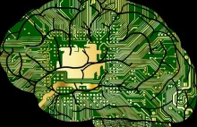 Wszczepiony do mózgu elektroniczny chip zapobiegł napadom padaczkowym -...