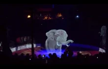 Niemiecki cyrk, który żywe zwierzęta zastąpił hologramami