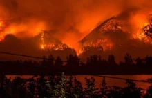 Nastolatek spowodował pożar lasu. Musi teraz zapłacić ponad 36 mln dolarów