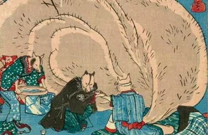 Tanuki - kolejna szalona postać ludzkiego psowatego z japońskiej mitologii