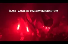 20151121 Protest antyislamski . Katowice