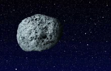 Asteroida - zabójczyni dinozaurów mogła też zagrozić ssakom