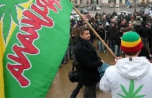 Ruch Palikota: 50 gramów marihuany dla każdego