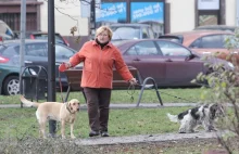 Komorowska straciła pracę. PiS ją wymienił