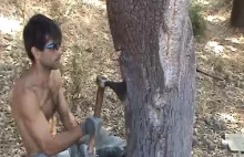 Ściąganie kory z drzewa