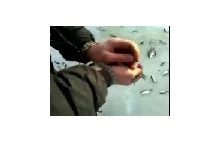 Łowienie ryb po rosyjsku