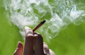 Od środy marihuana będzie legalna w Kanadzie. Rynek wart jest ok. 7 mld dolarów