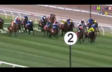 Almandin wins 2016, Melbourne Cup ofter thrilling (highlight