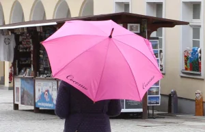 Prokuratura umarza postępowanie w sprawie domniemanego oszustwa w Cocomo