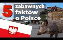 Zabawne FAKTY, które zaskoczą nawet Polaków. 5 ciekawostek o Polsce.