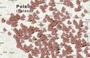 Interaktywna mapa mogił powstańców styczniowych