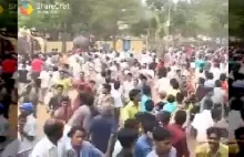 Słoń dostaje napadu szału podczas festiwalu w Indiach