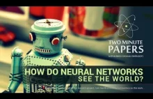 How Do Neural Networks See The World? | Two Minute Papers #100