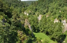 Dolina Mnikowska – jurajska atrakcja oraz miejsce historyczne