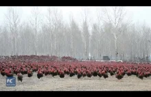 Chinese farmer and his 70,000 chickens become online...