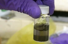 Odkryto bakterie, które neutralizują skażenie uranem