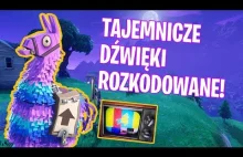 TAJEMNICA METEORYTU ROZSZYFROWANA! (Fortnite Battle Royale)