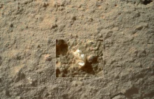 Curiosity znalazł dziwny "kwiat" na marsie