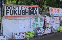 Fukushima: Słowo "Katastrofa" nawet trochę nie może tego opisać. [ENG]