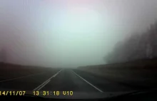 Nagła niespodzianka na drodze we mgle.