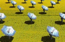 IBM Develops Economical Sunflower CPV System - Solar Novus Today