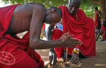 Daleko niedaleko » Marketing według Masajów