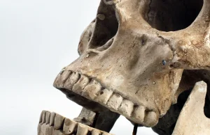 Szczątki kobiety, które wypadły z klifu w Bagiczu, mają 2 tys. lat -...