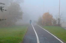 Rowerzysta ukarany mandatem za niejechanie drogą rowerową po lewej stronie...