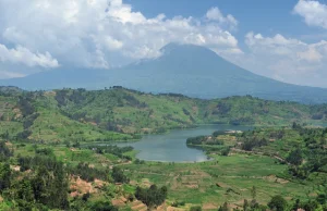 Sukces ekonomiczny Rwandy: w jaki sposób wolne rynki służą biednym Afrykanom