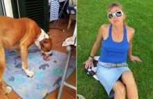 Żonka ze Wschodu. Rosjanka nakarmiła psa zwłokami męża – Niemca! (FOTO)