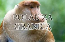 Polak za granicą, czyli Polak Polakowi... Polakiem. | Blog Podróżniczy