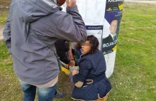 Działacze PIS przyłapani na zaklejaniu plakatów wyborczych KORWiN?