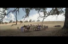 The Barossa commercial