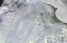 Jak teraz wygląda lód w Arktyce?
