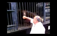 Człowiek nie boi się zwierząt w zoo