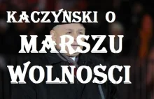 Jarosław Kaczyński miażdży MARSZ WOLNOŚCI