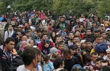 Według Niemiec aż ok. 30 proc. migrantów fałszywie podaje, że pochodzi z Syrii