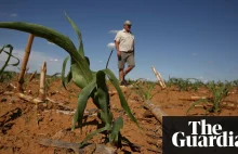 LOL - RPA krytykuje australijski plan pomocy białym farmerom mordowanym w Afryce