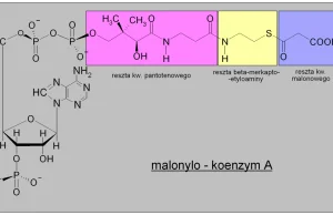 ISIS DRAW - rysowanie związków chemicznych