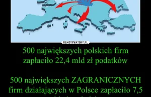 Polskie firmy vs. zagraniczne