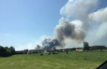 Ogromny pożar lasów. Strażacy gaszą ogień z powietrza