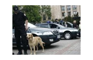 Minister Finansów chce mordowania psów-celników