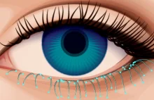 Sprawdź Spostrzegawczość Na Podstawie Podchwytliwego Testu Wzrokowego