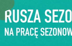 Rusza sezon na pracę sezonową. Oferty pracy pojawiają się jak grzyby po deszczu