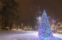 Zimowo i świątecznie w Zakopanem! Zobacz piękne zdjęcia.