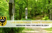 Las Osobowicki i Święte Wzgórze