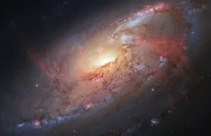 Droga Mleczna kradnie galaktyki od sąsiadów, w tym Wielkiego Obłoku Magellana