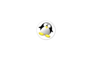 Na komputerach z logo Windows 8 „pingwina” łatwo nie zainstalujesz